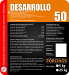 DESARROLLO